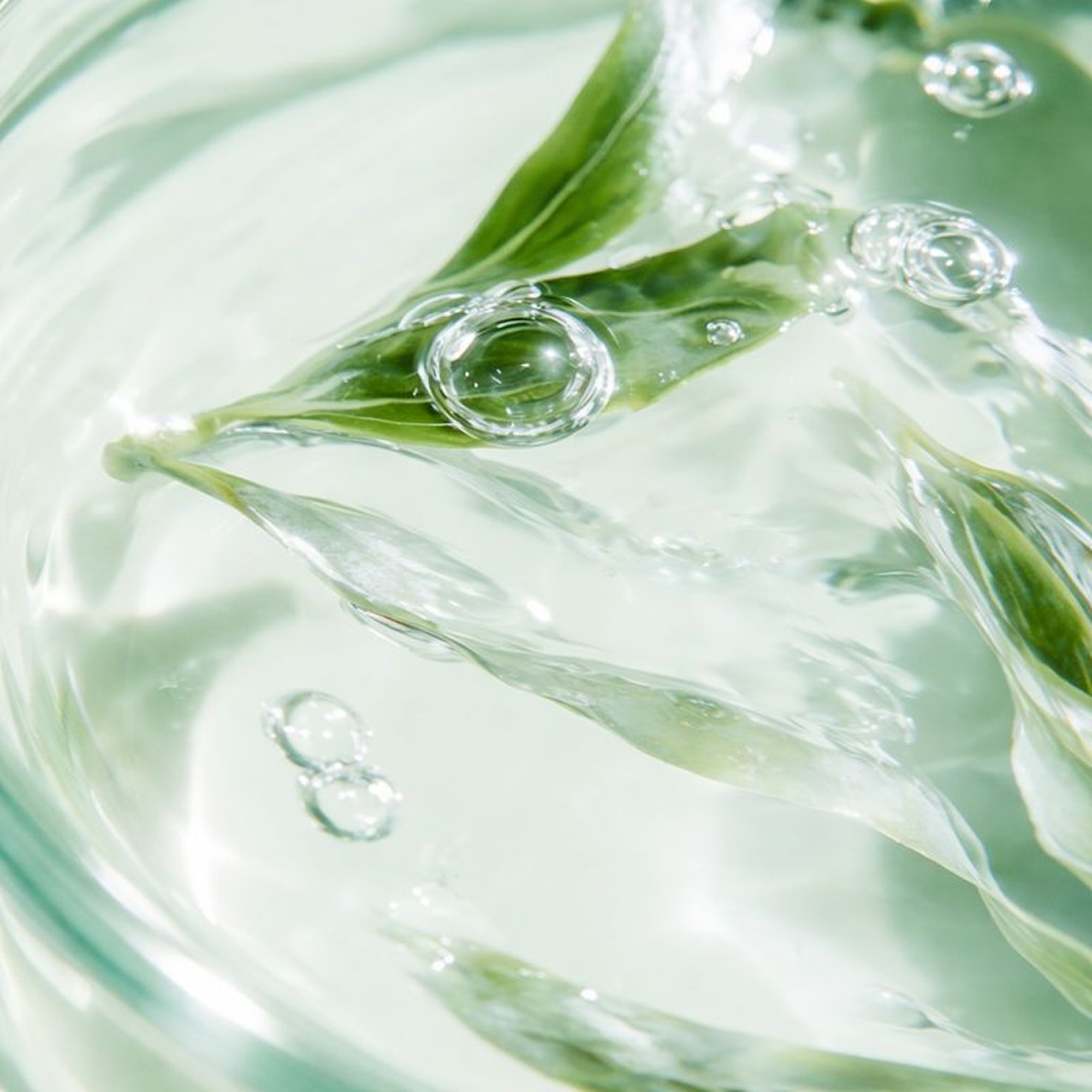 Tea Tree Extract